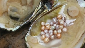 Naturefile - Freshwater Pearls
