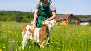 Ciara McCarthy & Simon Austin - Farmers' Mental Health