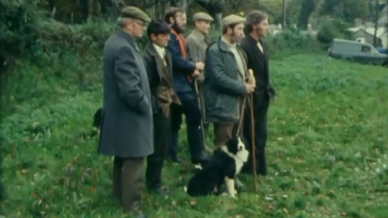 Roundwood Sheepdog Trials, County Wicklow, 1977.