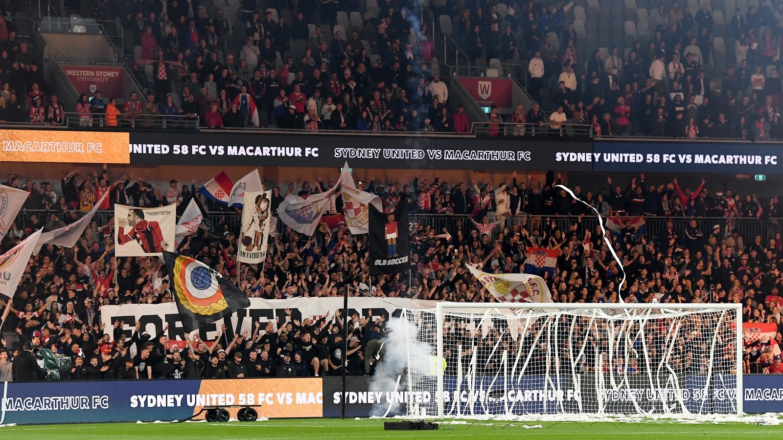 Sydney fan gets lifetime ban for cup final Nazi salute