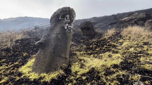 The area around the Rano Raraku volcano, a UNESCO World Heritage Site, was the worst affected (Credit: Rapa Nui Municipality)
