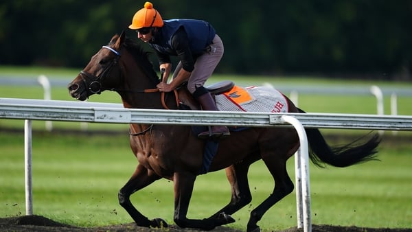 Baaeed works at Newmarket under Ricky Hall