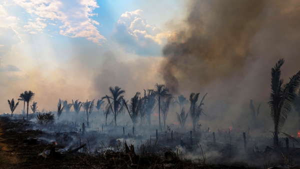 View of a burnt area of the Amazonia rainforest in Apui, southern Amazonas State in Brazil