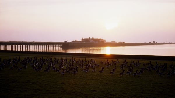 Bull Island, where volunteers catalogue bird species every month, at sunset