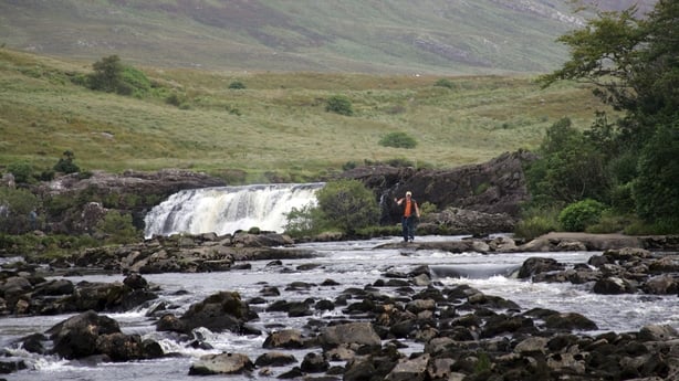 Why Irelands Wild Salmon Stock Keeps Dwindling