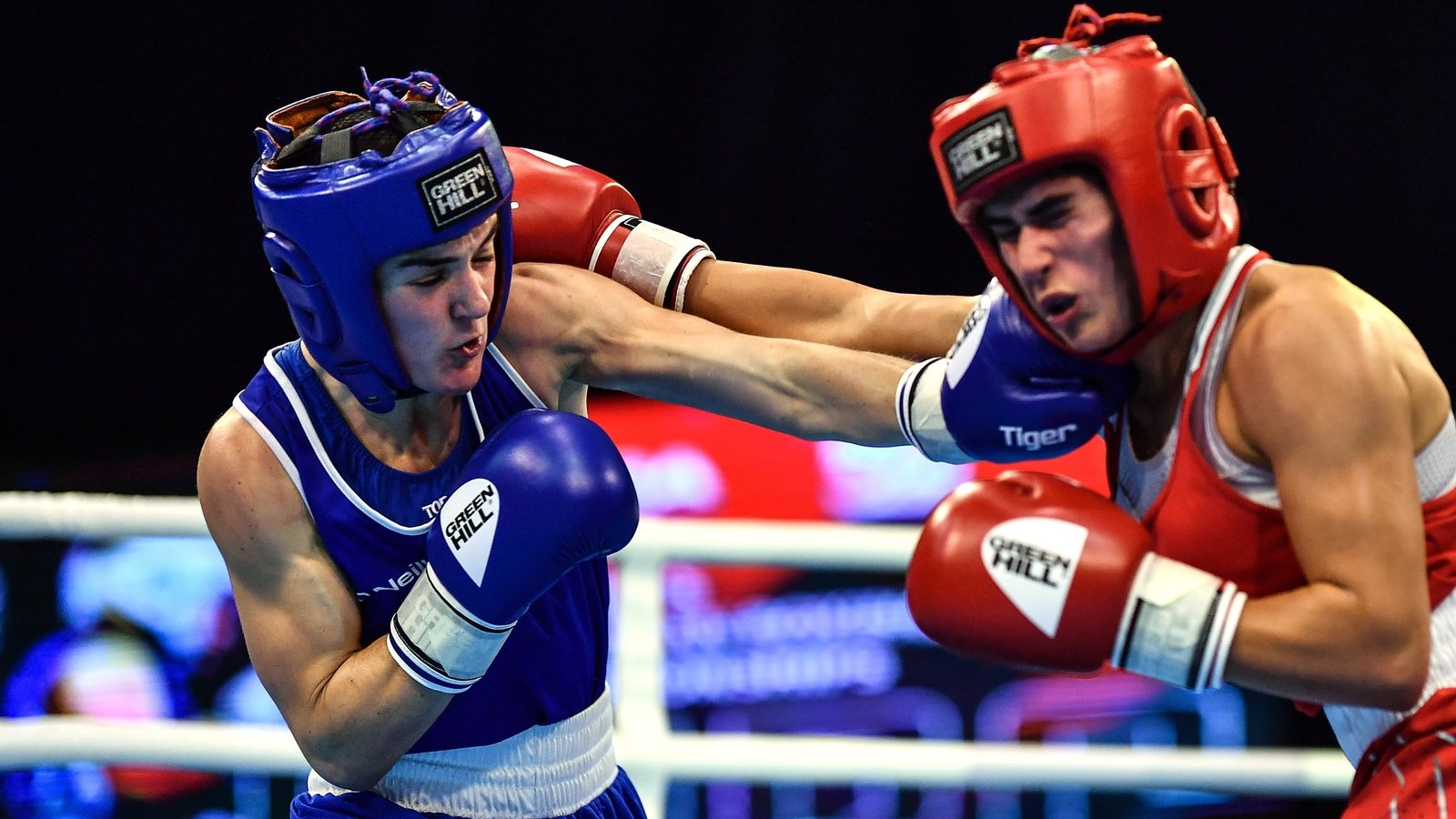 Five Irish Boxers Reach European Championships Finals