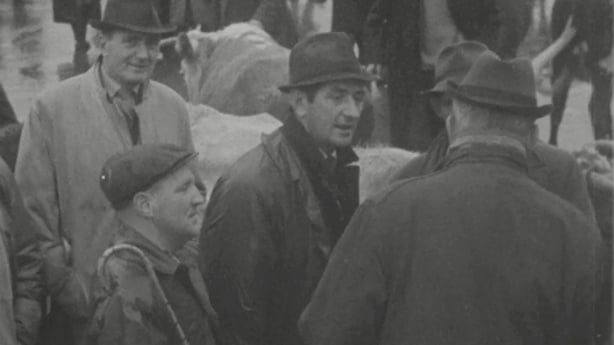 Cattle traders in Castleisland, County Kerry.