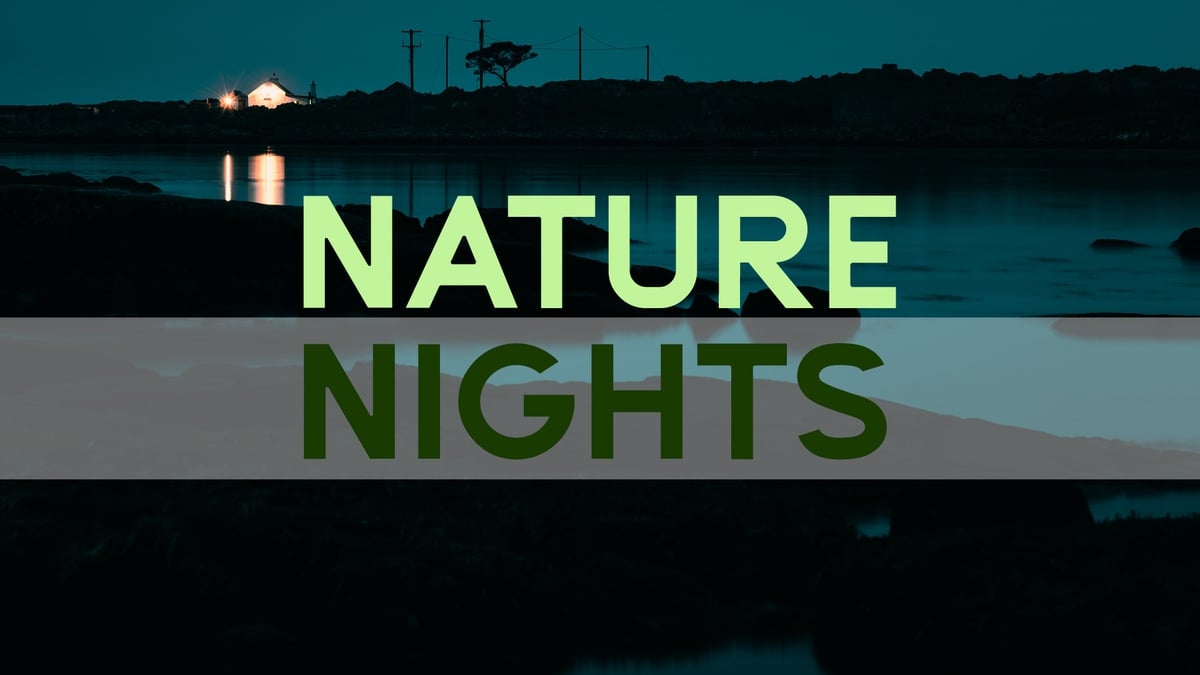 Nature Nights on RTÉ Radio 1 - Brother Sun, Sister Moon