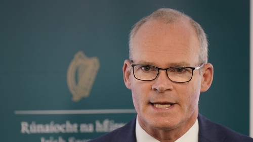 Minister Simon Coveney said Ireland's concerns about events in Iran have been made crystal clear internationally