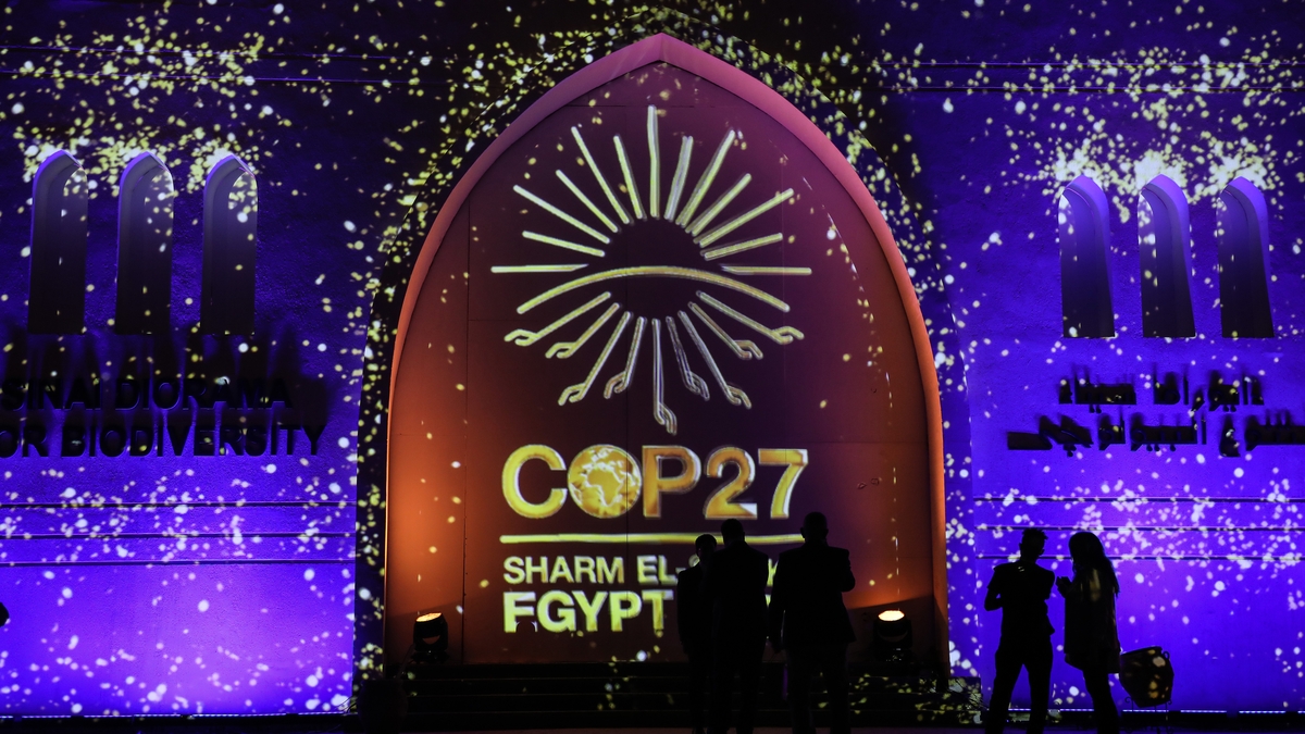 New Govt target for electric vehicles to be revealed within weeks