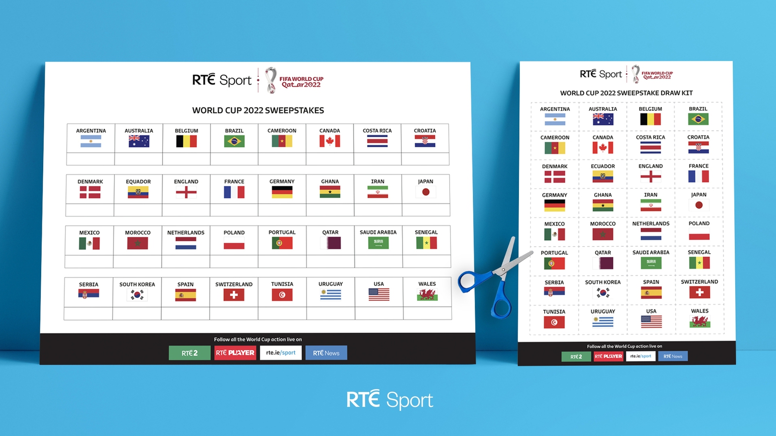 World Cup 2022 sweepstake: Download free kit here for Qatar