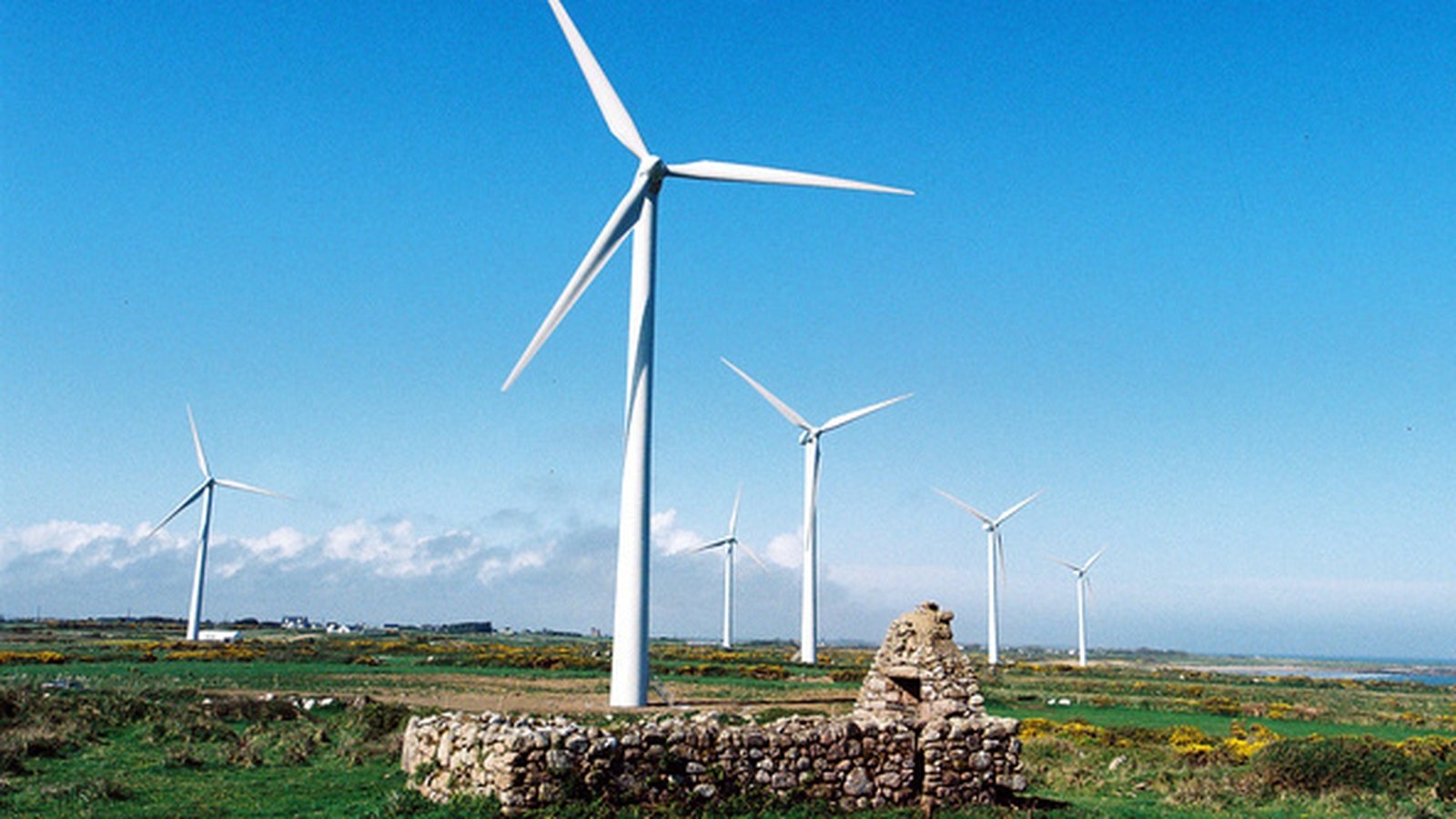 Wind Energy Ireland launches new ‘County Colours’ website