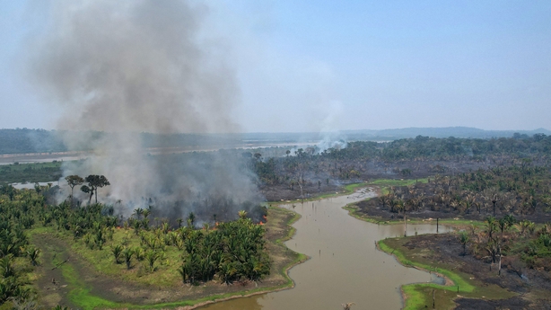 Tropical Forest Size Of Football Pitch, Lost Every 5 Second, Says