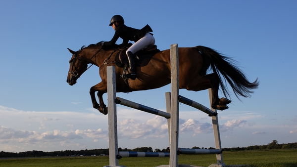 Horse Sport Ireland is partly State funded, receiving multi-million euro grants annually from both the Department of Agriculture and Sport Ireland (stock image)