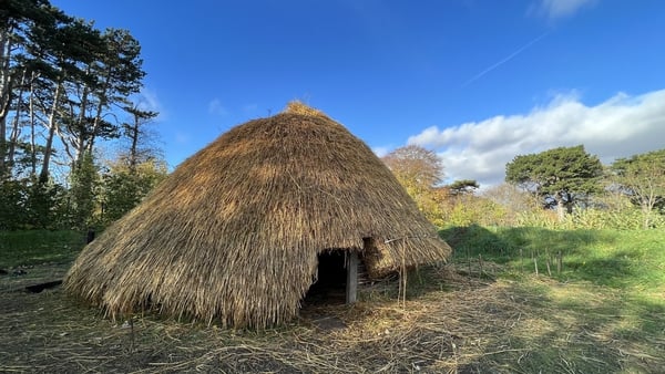 The roof of the early medieval roundhouse reconstruction at UCD has been thatched in oaten straw.