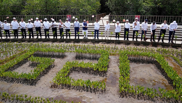 G20 leaders took part in a ceremony to plant mangrove saplings to signal the battle against climate change
