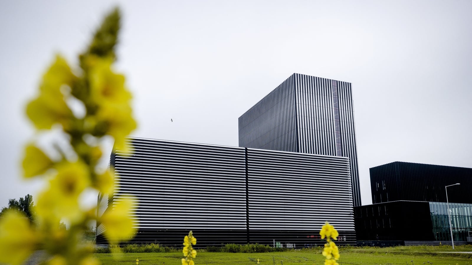 UK Firm Pure Data Centres to Sell Carbon-Removal Credits to Cloud Providers