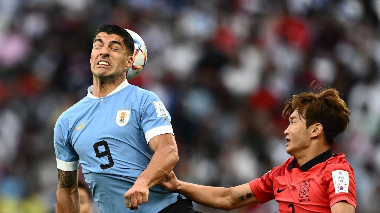 World Cup 2022 Uruguay 00 South Korea recap
