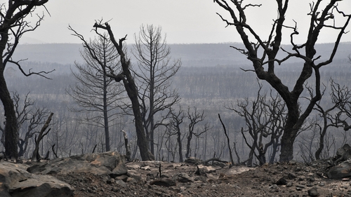 The fires were spurred by a blistering heatwave, but authorities also blamed arsonists and "criminals"