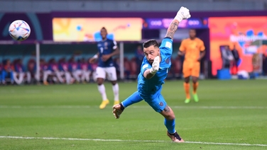 Video | World Cup 2022: Gakpo's sweet strike gives Netherlands early ...