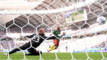 World Cup 2022: Eric Maxim Choupo-Moting draws Cameroon level against Serbia