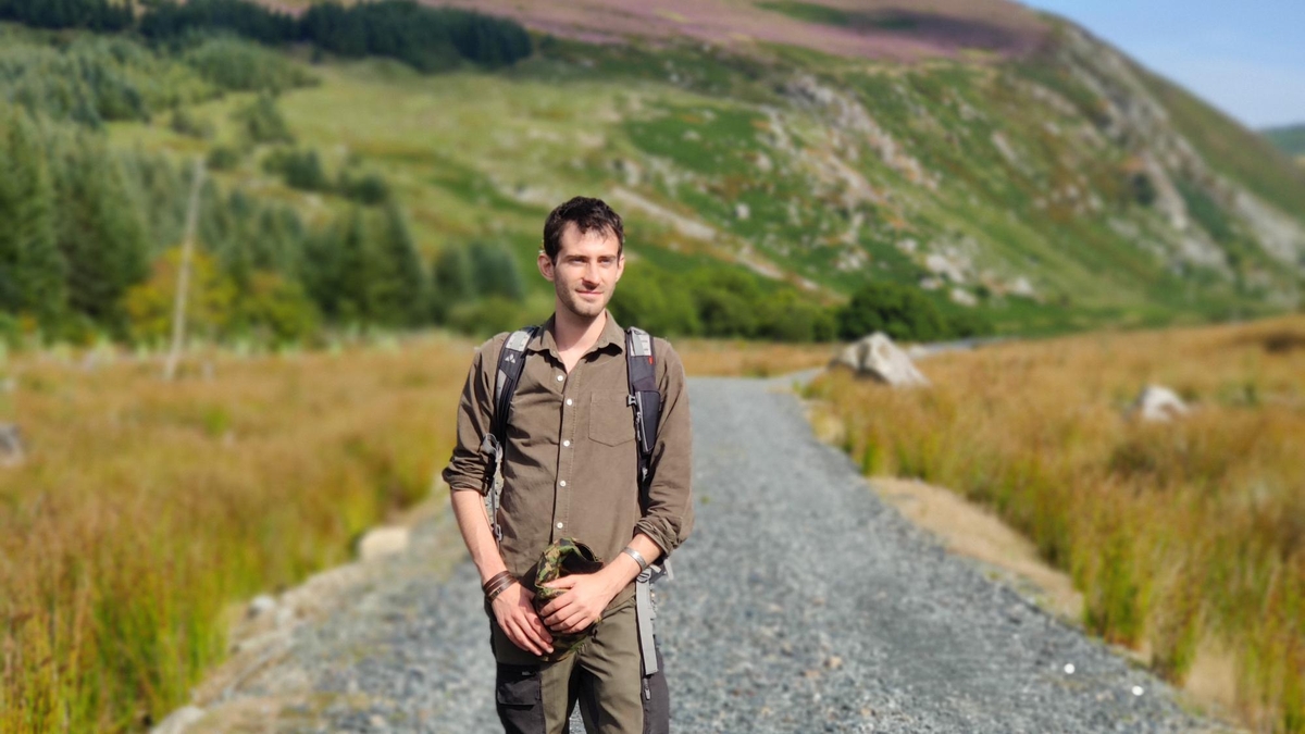 Hidden camera project sheds new light on deer in Co. Wicklow Mooney