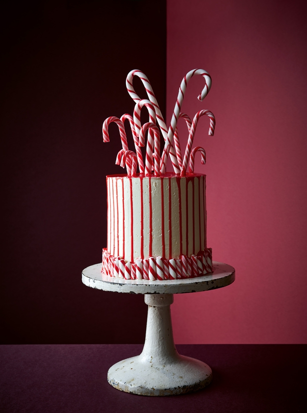 Rahul Cake Smash – Lourika Breed Photography