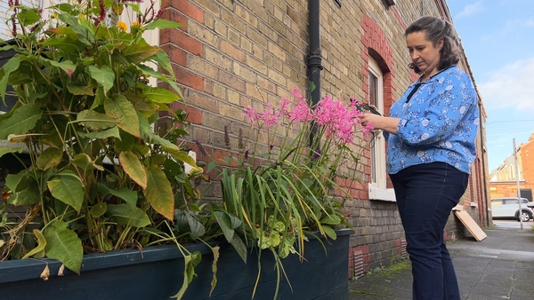 Liz McLaren tending to her rain garden planter outside her home in Stoneybatter