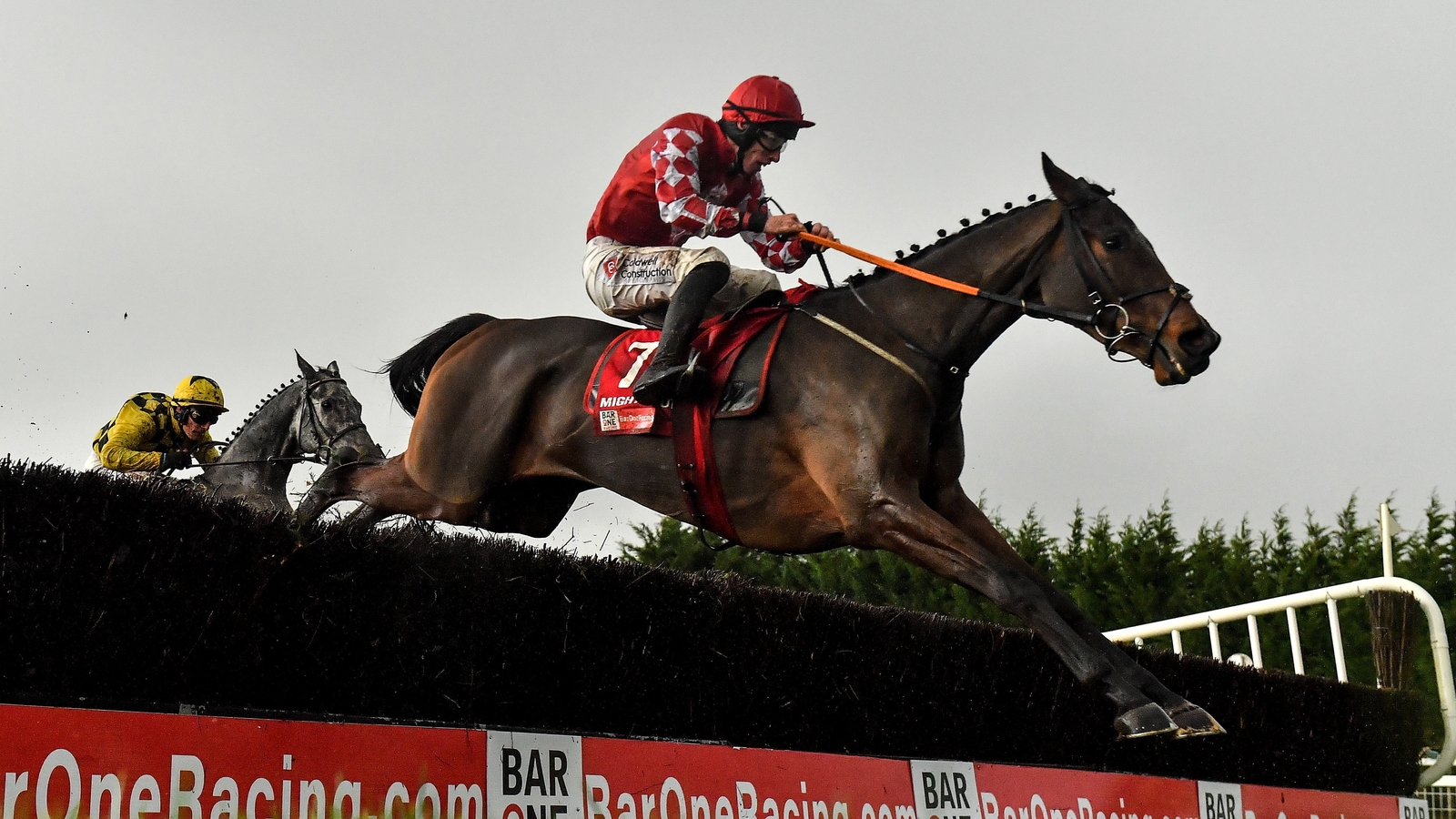Fairyhouse Grade One wins for Mighty Potter, Marine