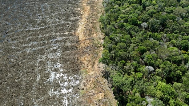 New EU legislation to help stop deforestation