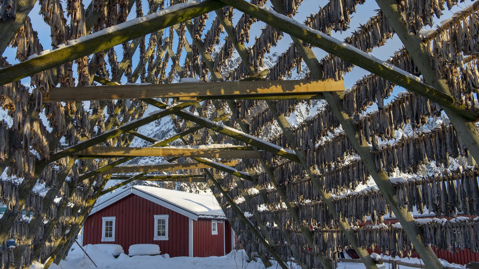 Norge forsvarer fiskeri-«samarbeidet» med Russland