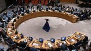 he Security Council has traditionally dealt with issues with humanitarian groups and sanctions on a case-by-case basis