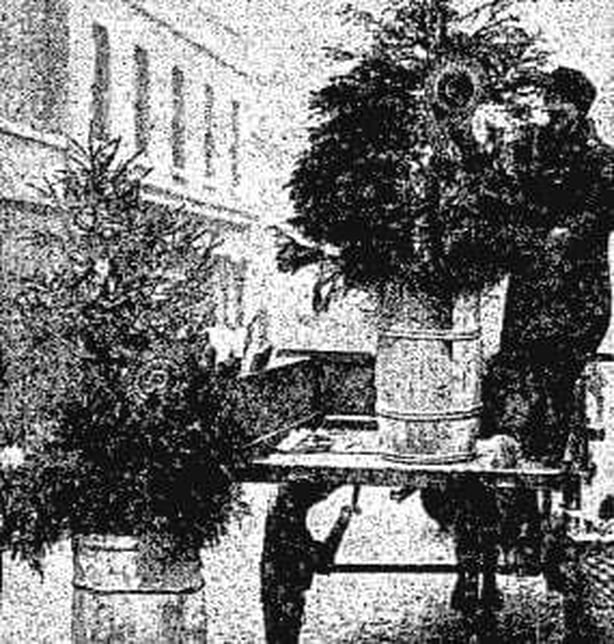 Century Ireland 246 - Christmas Scenes captured by the Freeman's Journal Photo: Freeman's Journal, 21 December 1922