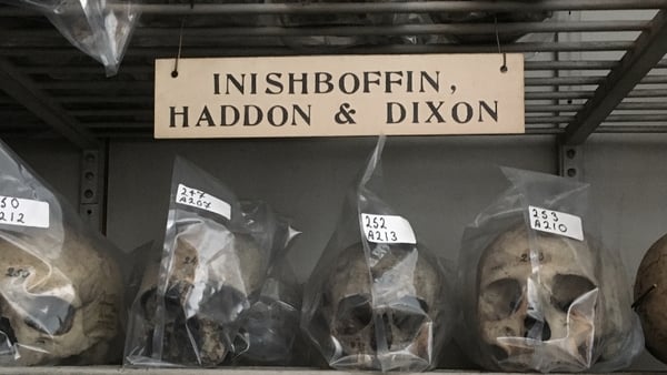 The skulls were removed from the island in 1890 (File pic: Ciarán Walsh, curator.ie)