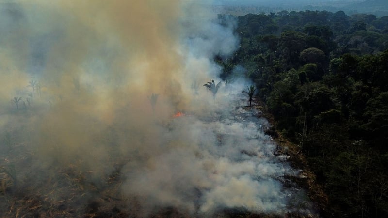 Nearly 2 Million Acres Burnt In Brazil Last Month - NGO