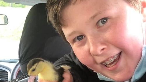 Galway boy in appeal for information after bird theft