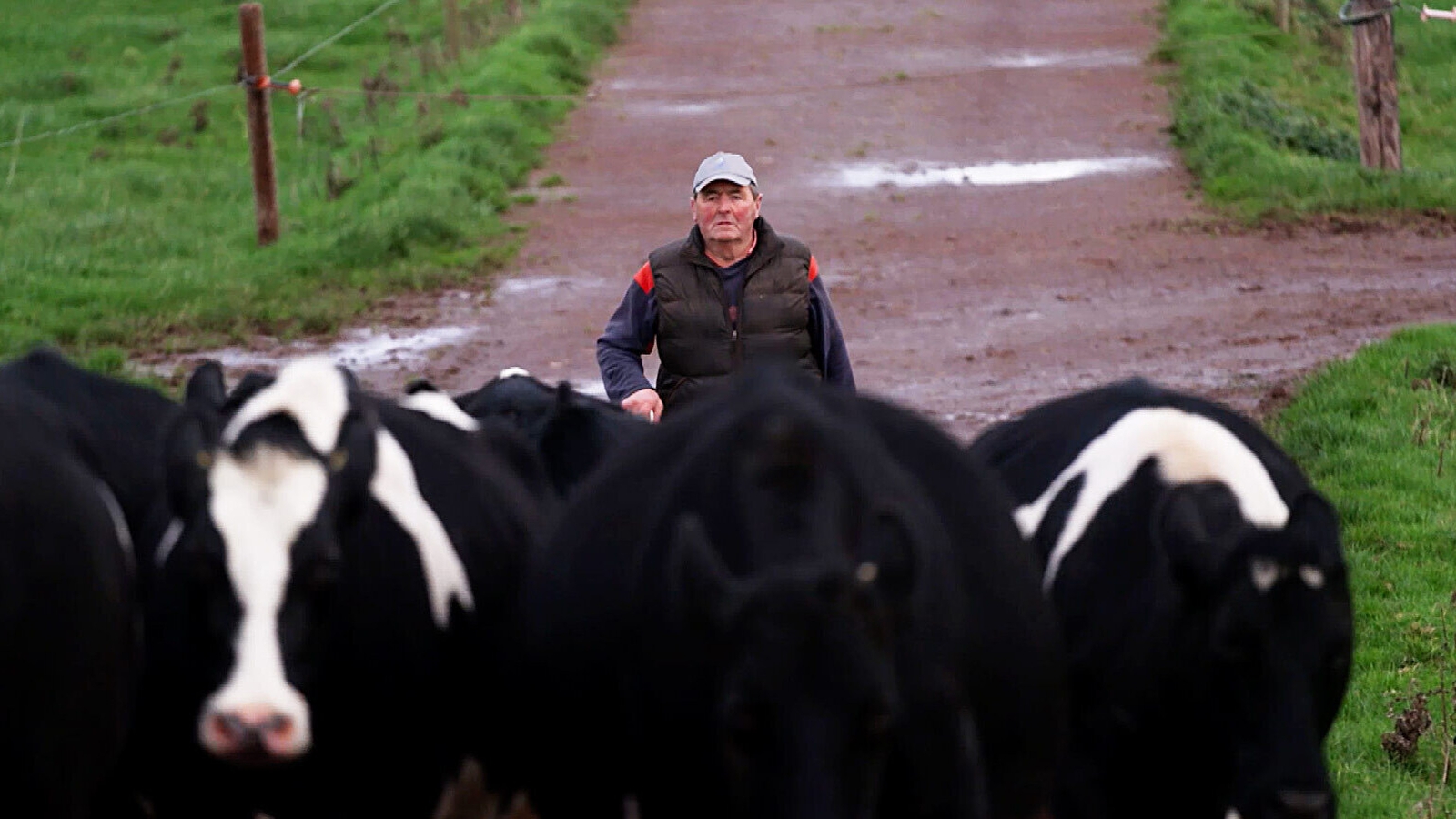 Image - Dairy farmer Tom Ryan is well known for his involvement with Limerick hurling