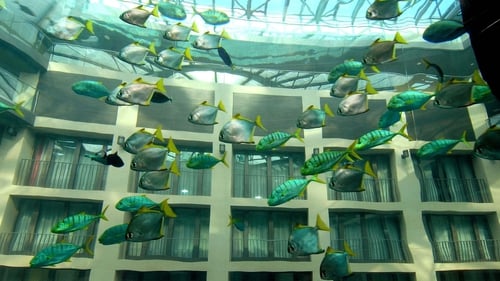 Huge aquarium home to 1,500 fish bursts at Berlin hotel