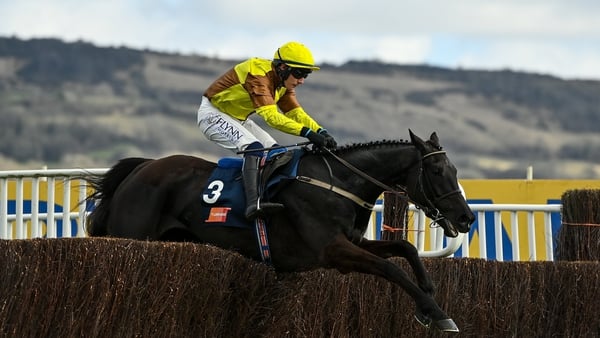 Galopin Des Champs would be unbeaten in five outings over fences but for his mishap at last season's Cheltenham Festival