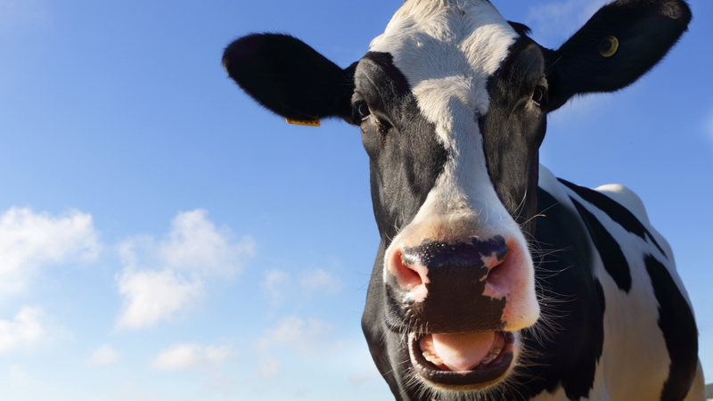 What do proposed CAP changes mean for Irish farmers?