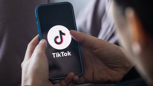 TikTok said bans have been based on 'misplaced fears'