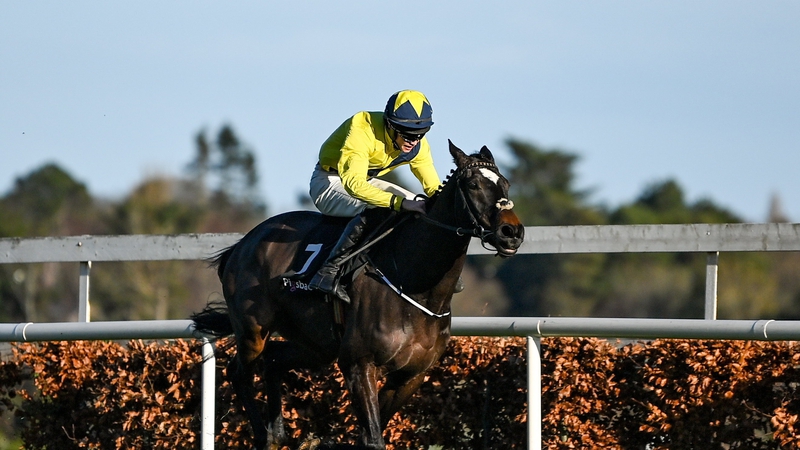 good-land-set-for-grade-one-leopardstown-return