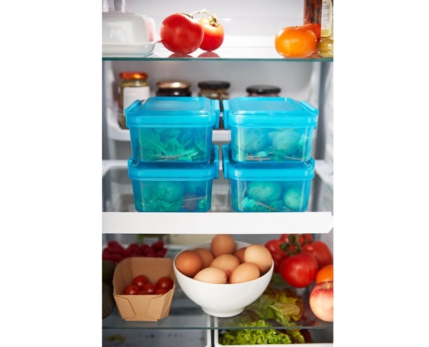 View of healthily packed food inside a fridge