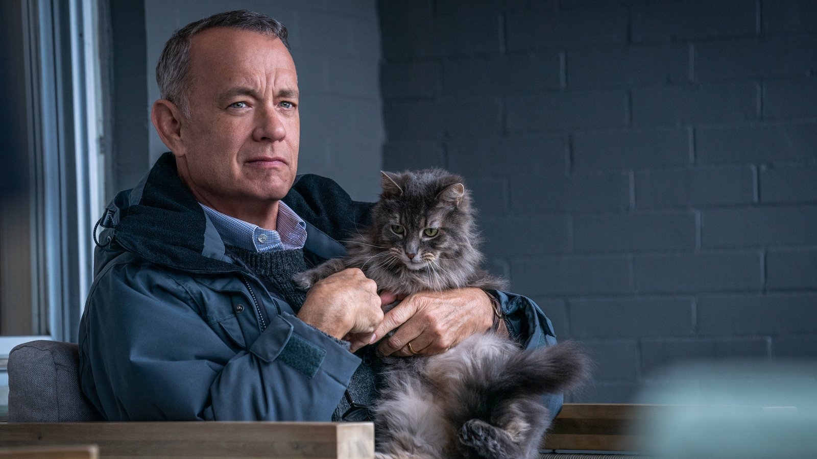 A Man Called Otto movie review Tom Hanks' A Man Called Otto is one