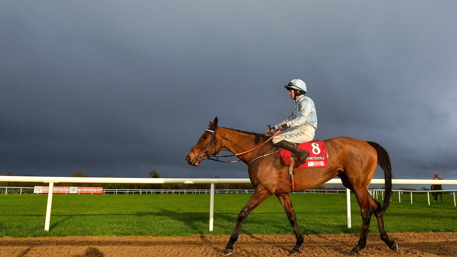 Champion Hurdle Or Retirement For Honeysuckle