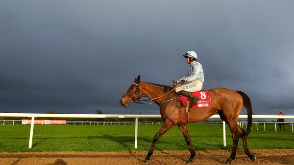 Honeysuckle suffered a surprise defeat in the Hatton's Grace Hurdle at Fairyhouse last month