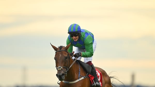 Champ Kiely dominated the renewal of the Lawlor's Of Naas Novice Hurdle