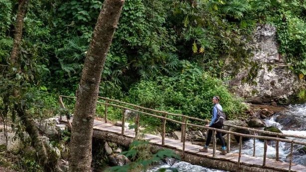 A hiker on a section of the Trans Bhutan trail (Sarah Marshall/PA)