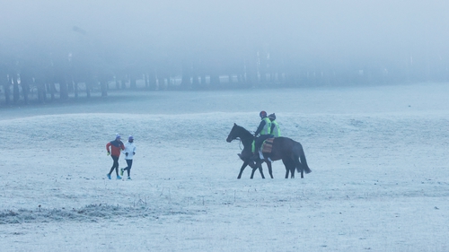 Horse riders and joggers in the frost in Co Kildare (Pic: RollingNews.ie)