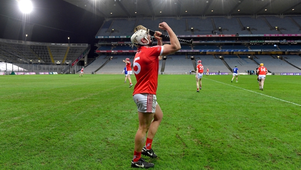 Andrew La Touche Cosgrave celebrates Monaleen's All-Ireland final victory at the full-time whistle